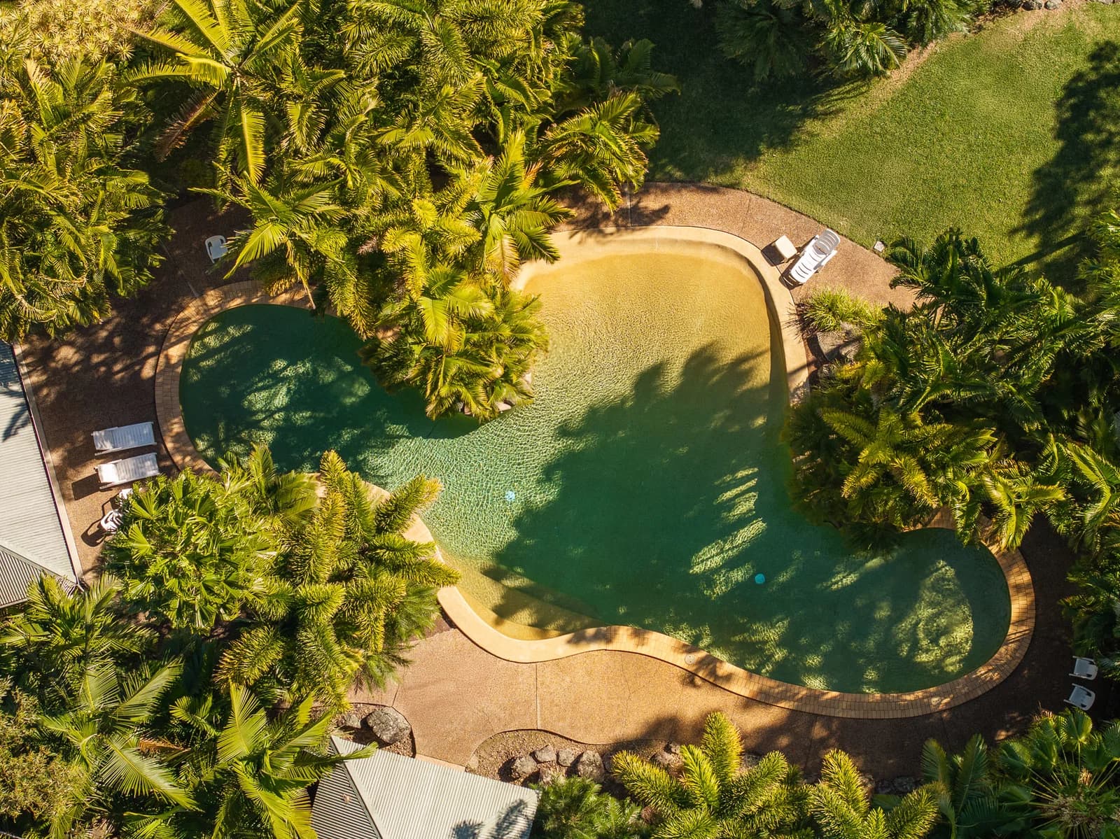 62/1 Poinsettia Court, Mooloolaba, QLD, 4557, Mooloolaba - Thumbnail 5