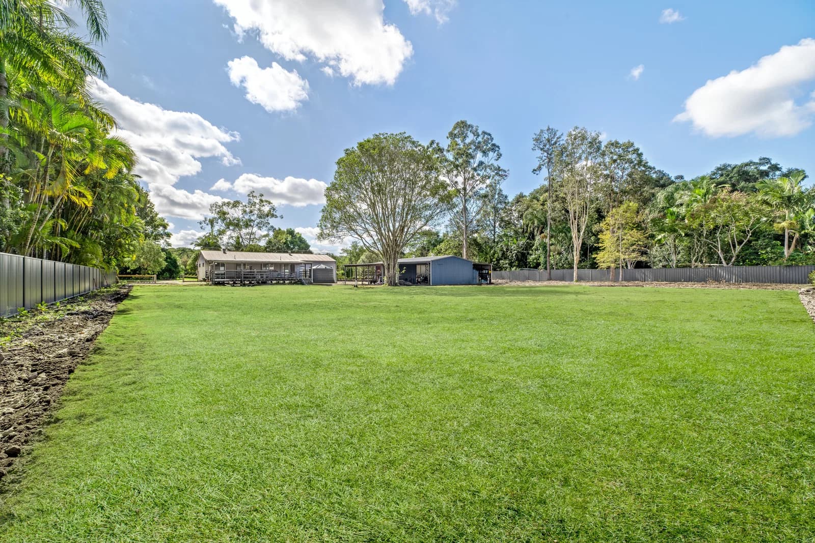 8 Cabrera Crescent Beerwah QLD 4519, Beerwah - Thumbnail 7