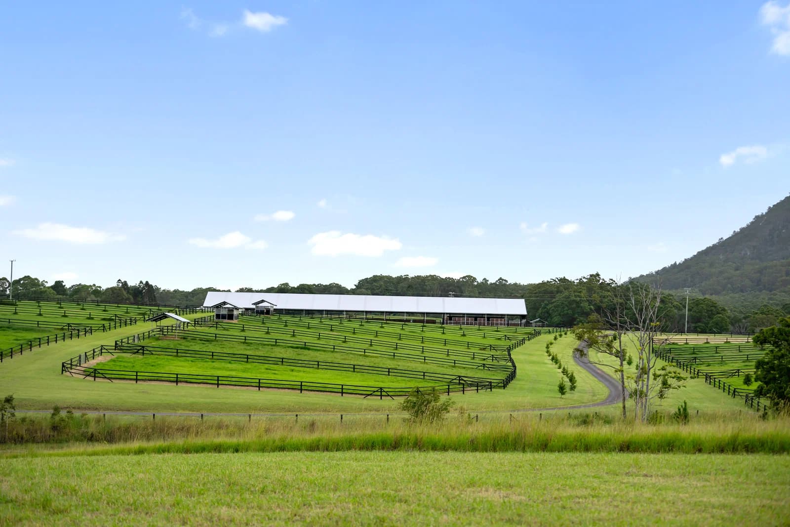 101 Pound Road, Pomona, QLD, 4568, Pomona - Thumbnail 3