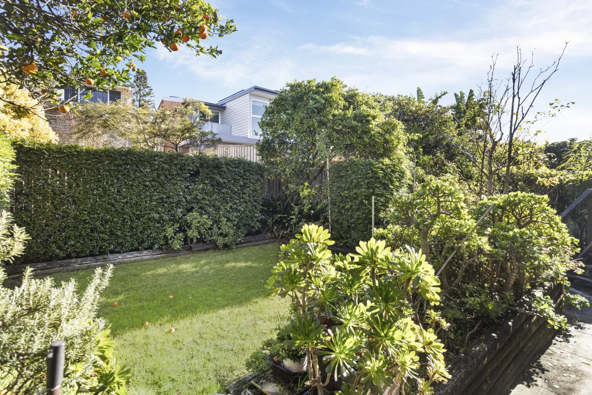 28 Peters Place, Maroubra - Thumbnail 7