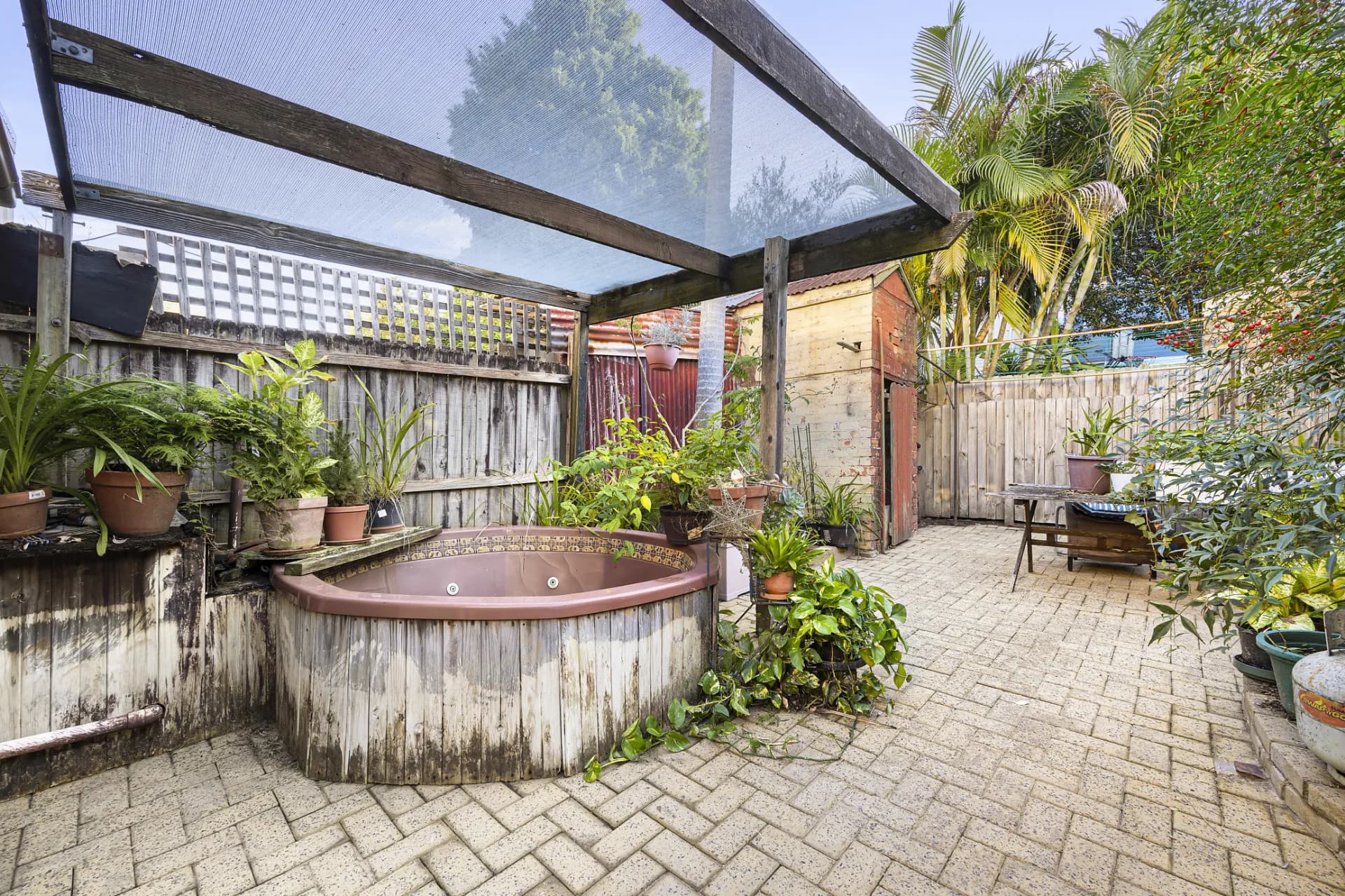 51 Denison Street, Bondi Junction - Thumbnail 6
