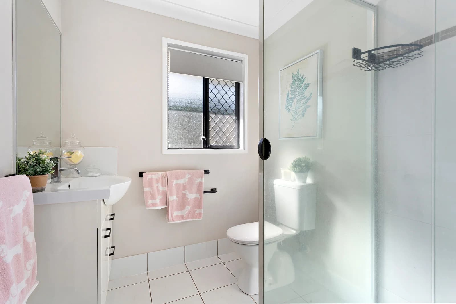 25 Burswood Close, Wulkuraka, QLD, 4305, Wulkuraka - Thumbnail 8