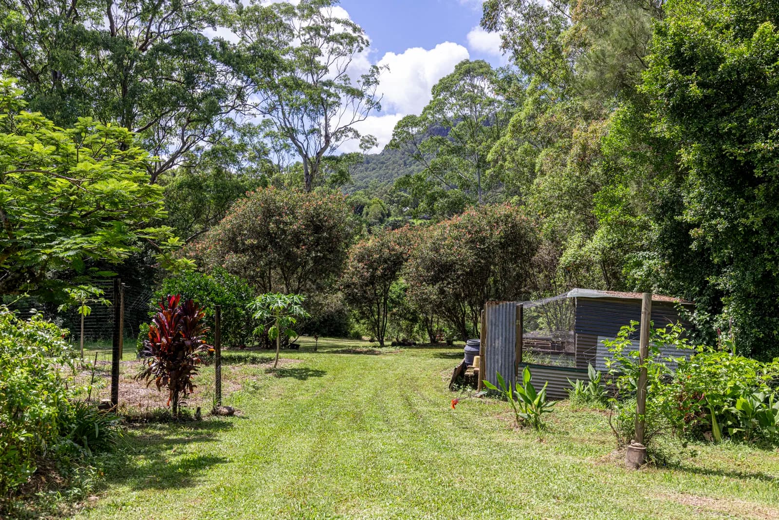 14 Belleridge Road, Nimbin, NSW, 2480, Nimbin - Thumbnail 5