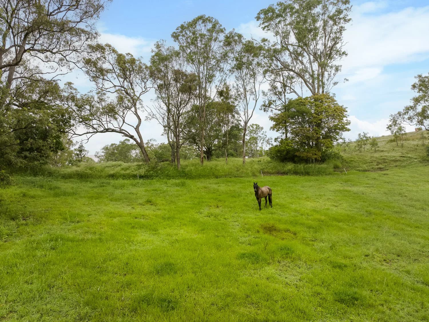 22 Mcmullen Road Brookfield QLD 4069, Brookfield - Thumbnail 6