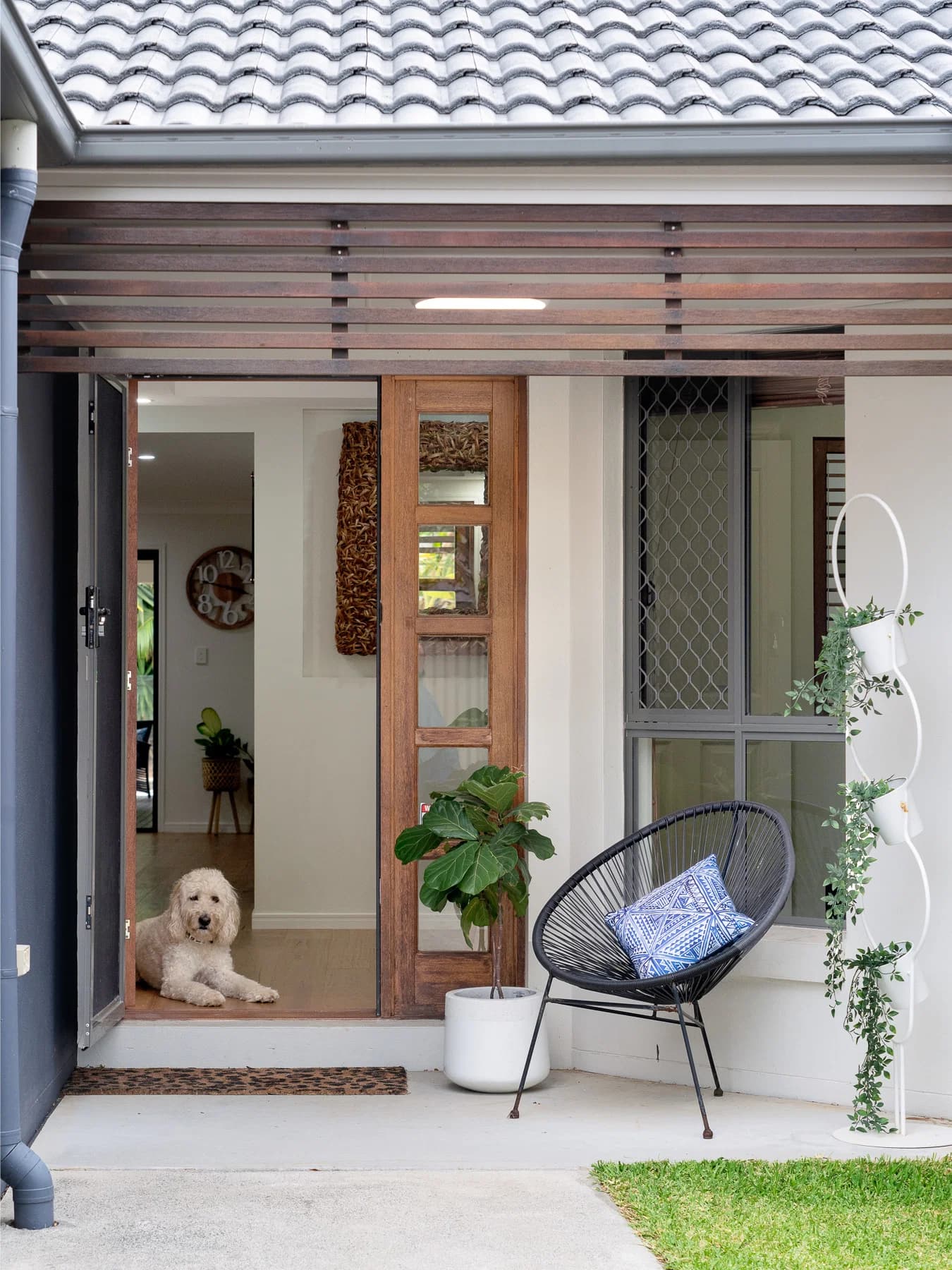 36 Bella Street, Cashmere, QLD, 4500, Cashmere - Thumbnail 2
