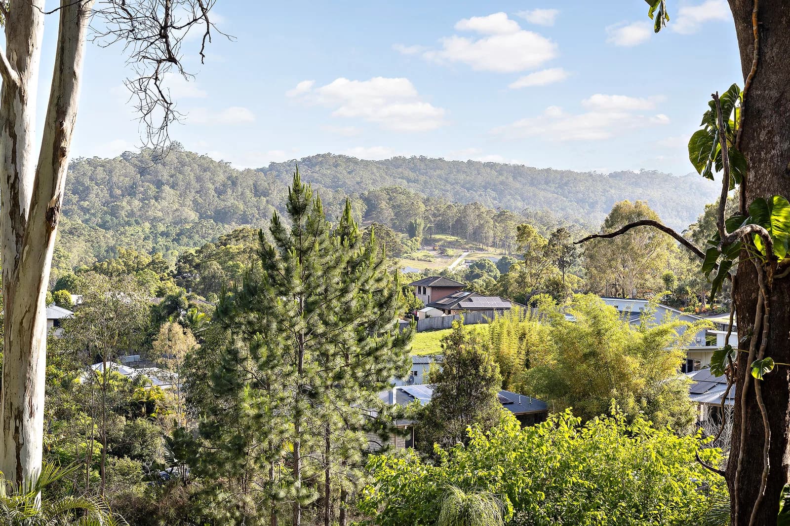 37 Brandenburg Road, Mooloolah Valley, QLD, 4553, Mooloolah Valley - Thumbnail 6