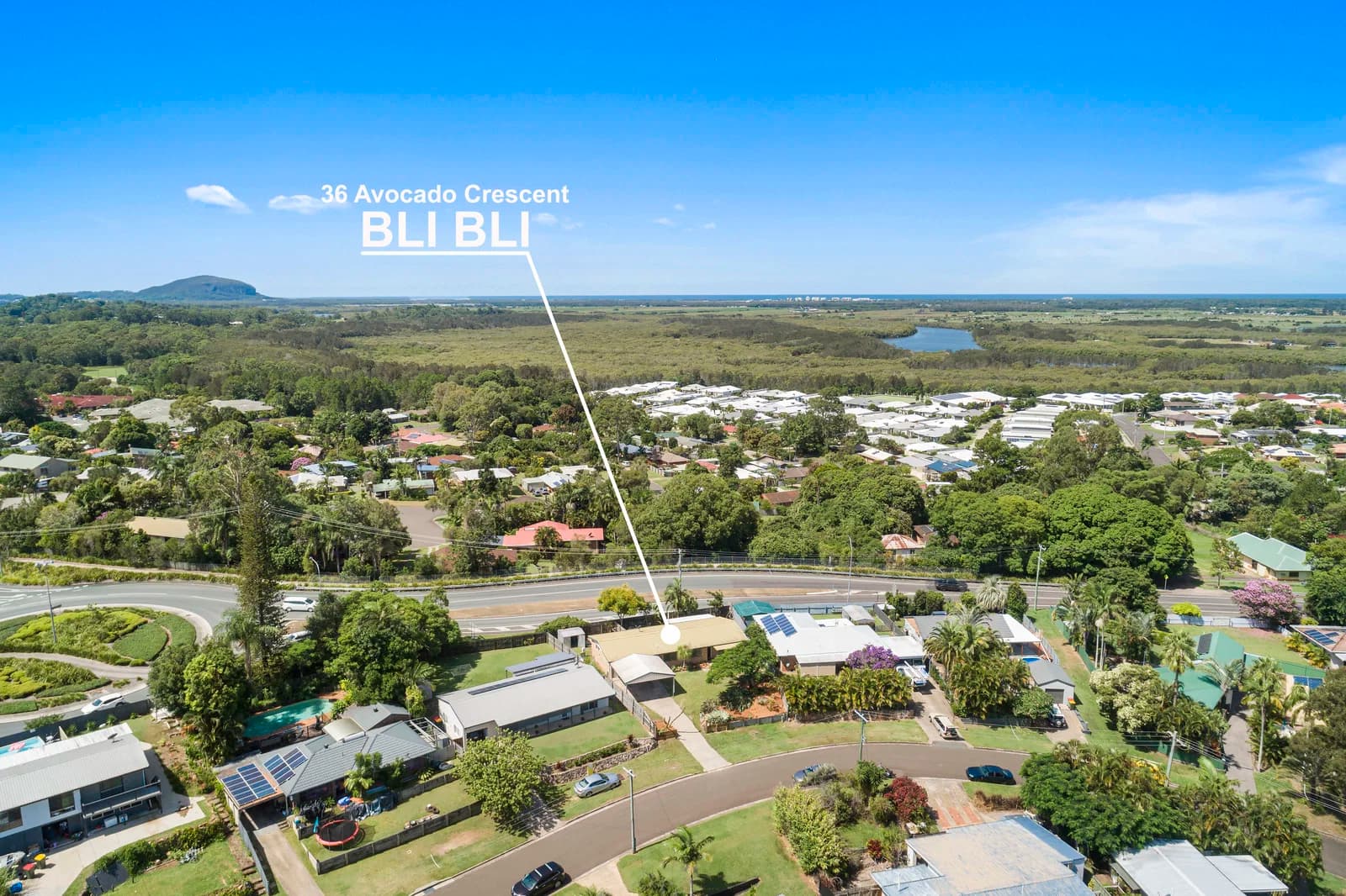 36 Avocado Crescent, Bli Bli, QLD, 4560, Bli Bli - Image 1