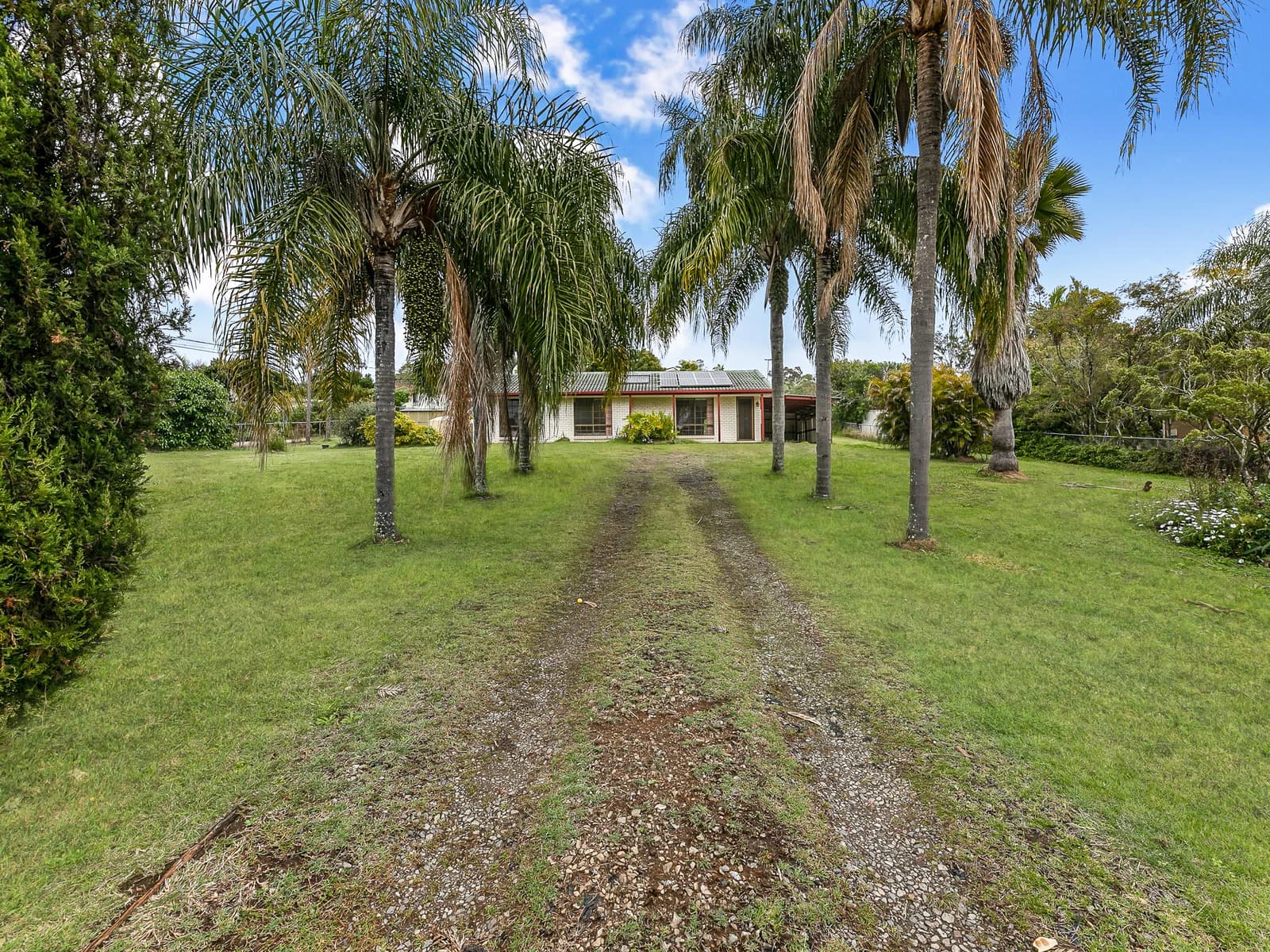 23 Wilkie Avenue, Redbank Plains, QLD, 4301, Redbank Plains - Thumbnail 5