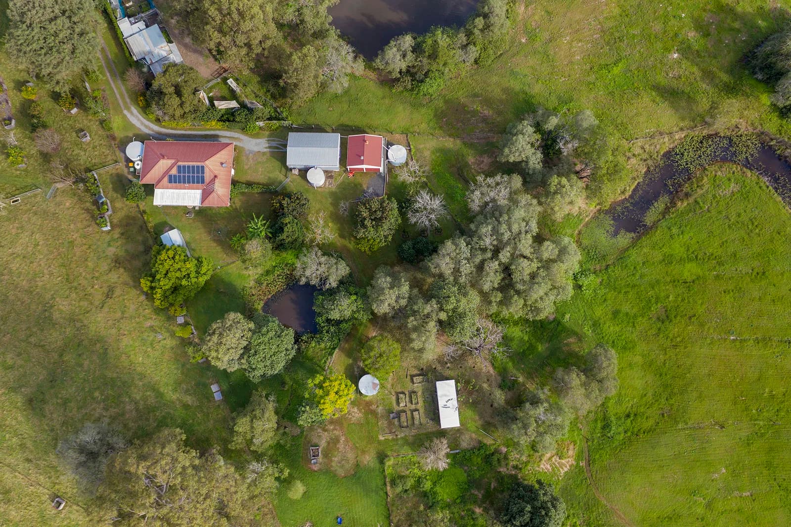 27 Banksia Court, Cedar Vale, QLD, 4285, Cedar Vale - Thumbnail 2