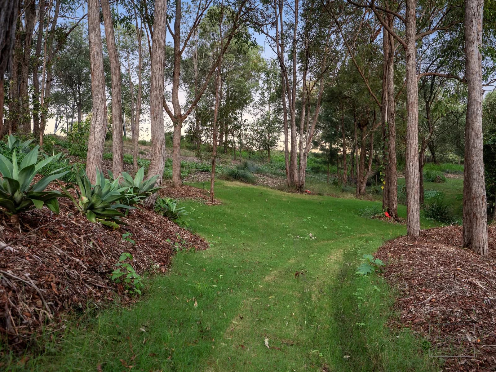 49 Raven Court, Warner, QLD, 4500, Warner - Thumbnail 5