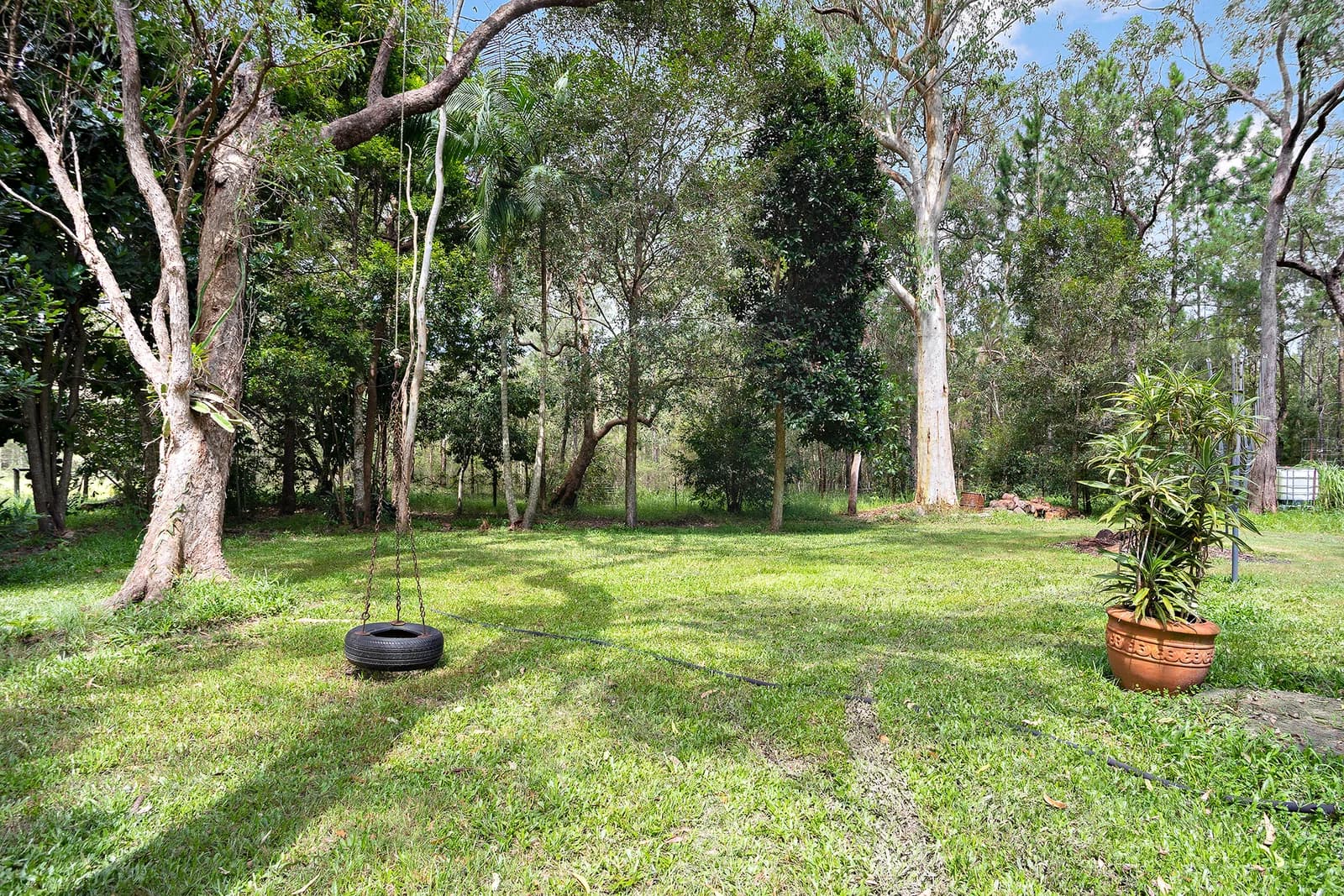 31 Smiths Road, Elimbah, QLD, 4516, Elimbah - Thumbnail 8