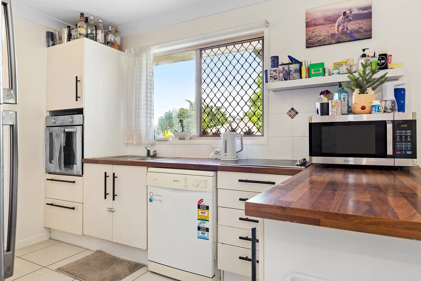 4 Scott Court, Boronia Heights, QLD, 4124, Boronia Heights - Thumbnail 7