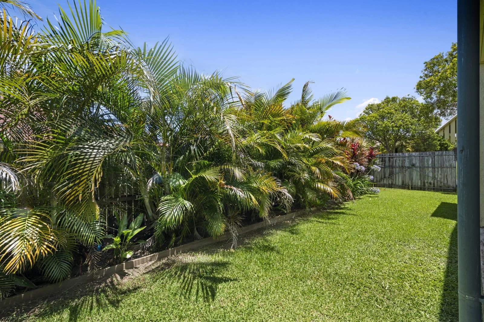 14 Mowburra Place, Caloundra West, QLD, 4551, Caloundra West - Thumbnail 6