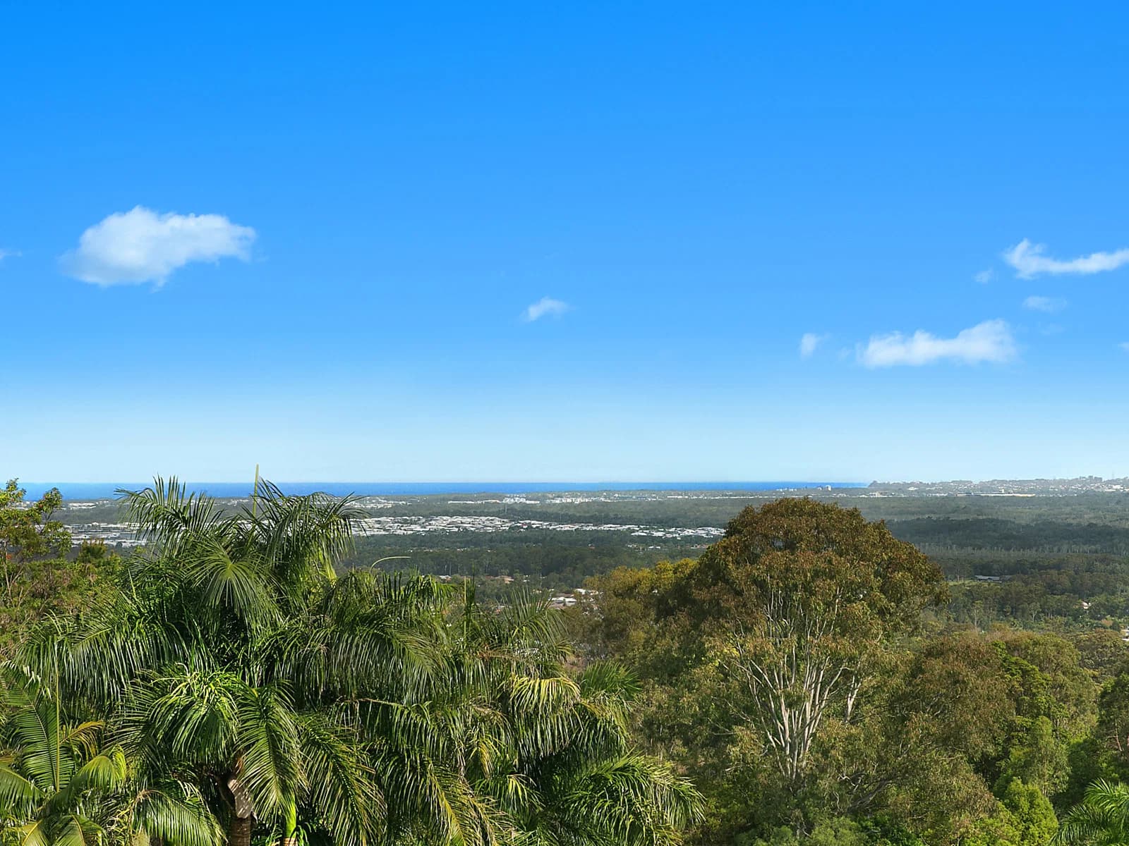 182 Mooloolaba Road, Buderim, QLD, 4556, Buderim - Thumbnail 3