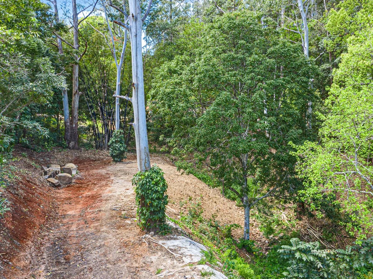18A Quambi Place Buderim QLD 4556, Buderim - Thumbnail 4
