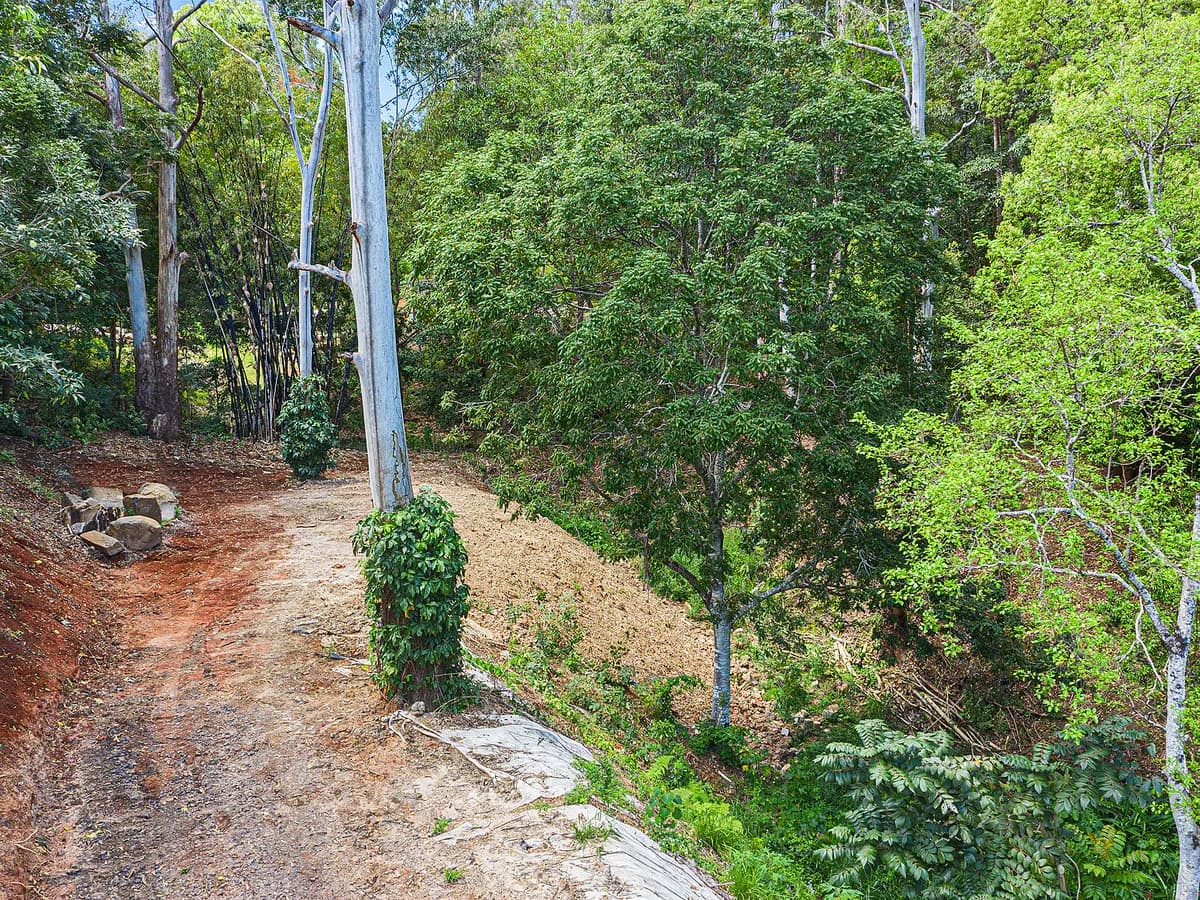 18A Quambi Place Buderim QLD 4556, Buderim - Thumbnail 5
