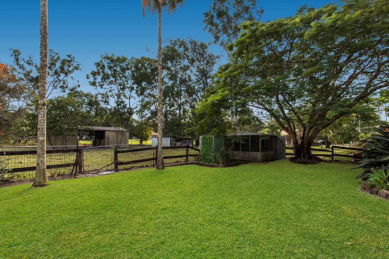 58 Mooloolah Meadows Drive, Mooloolah Valley, QLD, 4553, Mooloolah Valley - Thumbnail 6