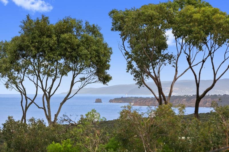 25 Second Avenue, Anglesea, VIC, Anglesea - Image 1