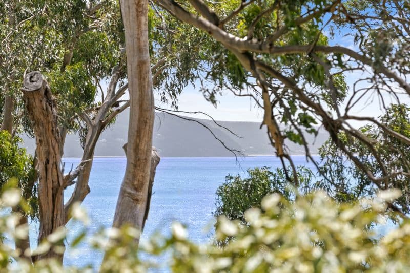 192 Mountjoy Parade, Lorne, VIC, Lorne - Thumbnail 5
