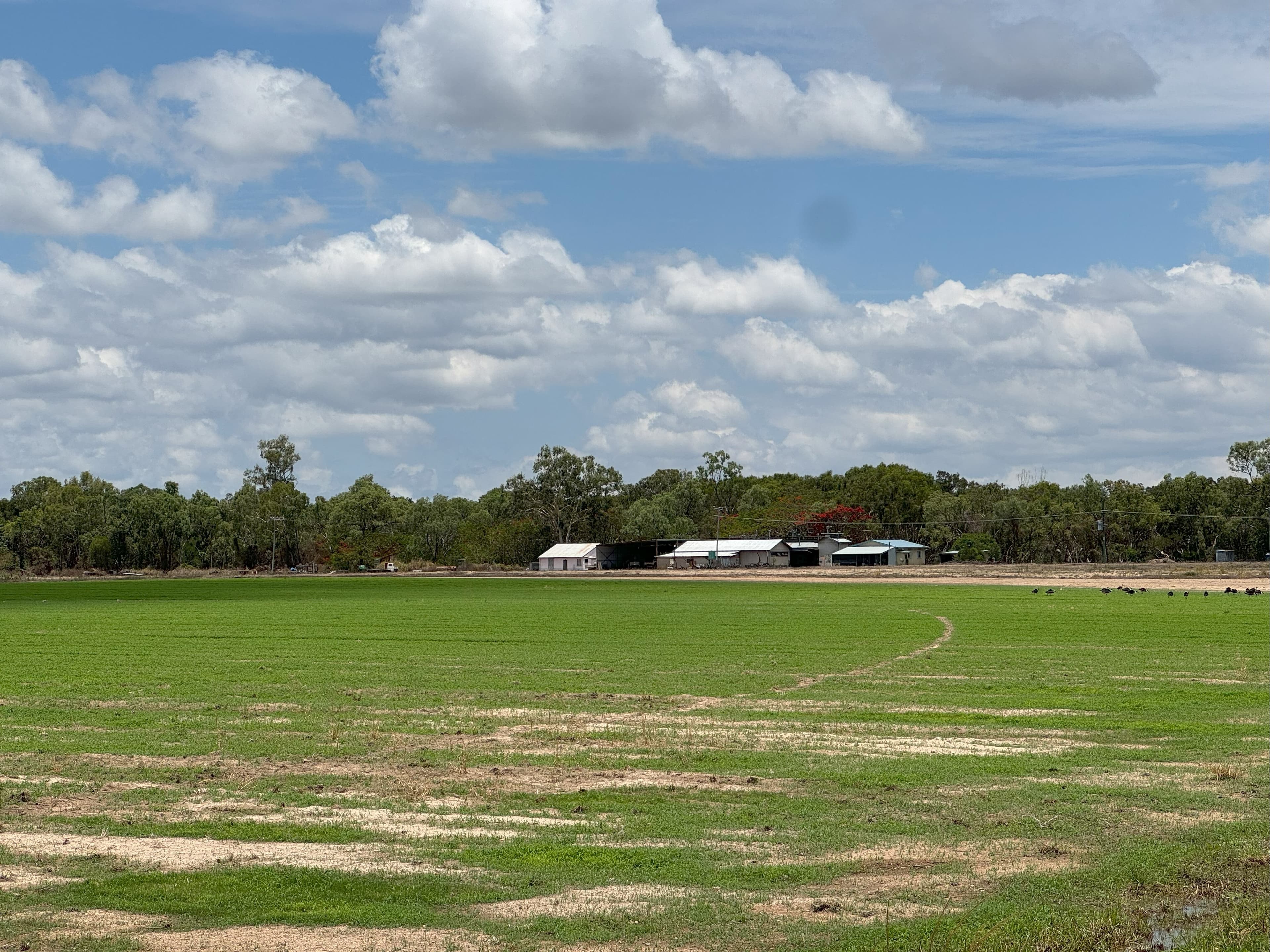 237 Chisari Road, Mutchilba - Image 1