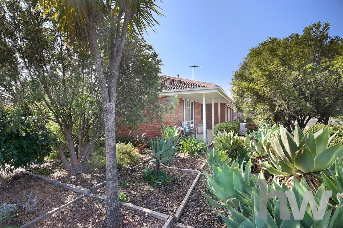 13 Regent Street, WHITTINGTON VIC 3219, Whittington - Thumbnail 4