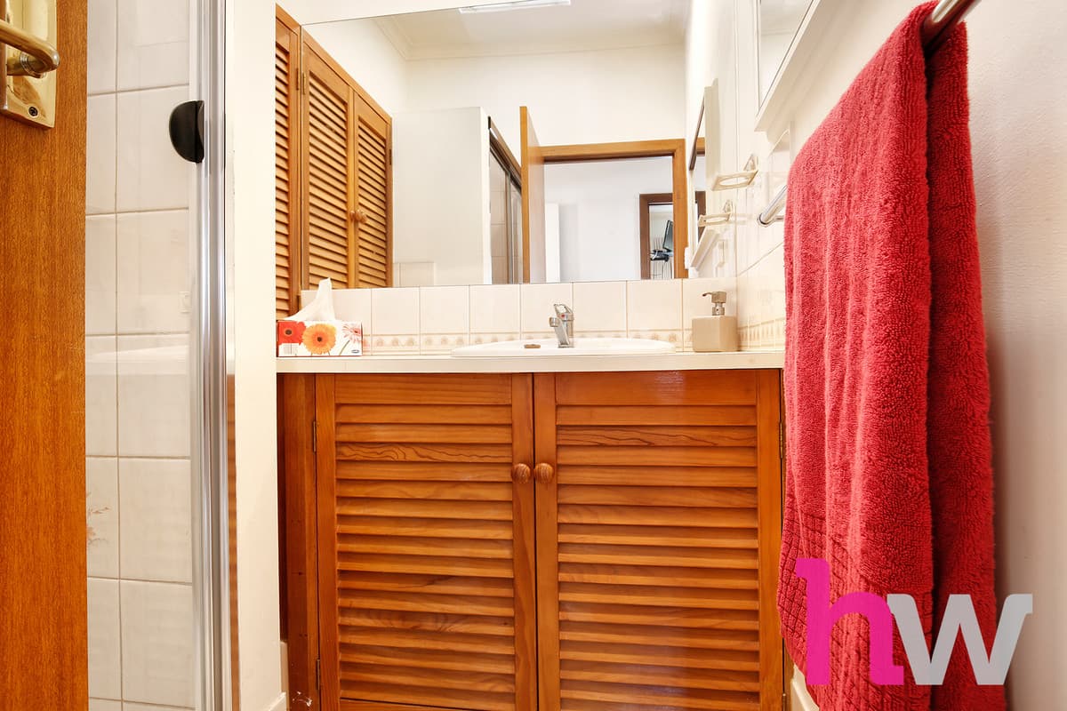 19 Godfrey Street, EAST GEELONG VIC 3219, East Geelong - Thumbnail 8