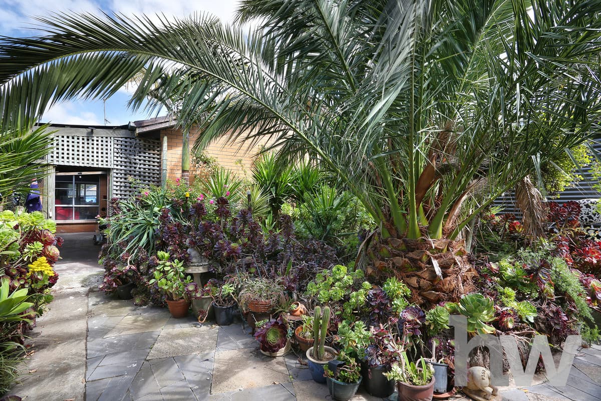 8 Gemini Court, WHITTINGTON VIC 3219, Whittington - Image 1