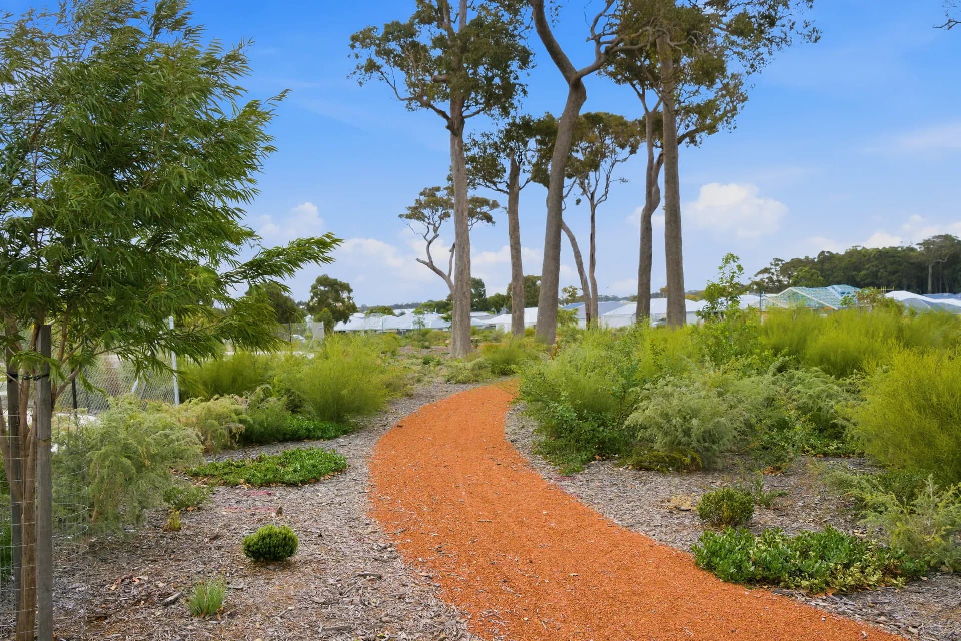 147 Brookfield Avenue, Margaret River, WA, Margaret River - Thumbnail 7