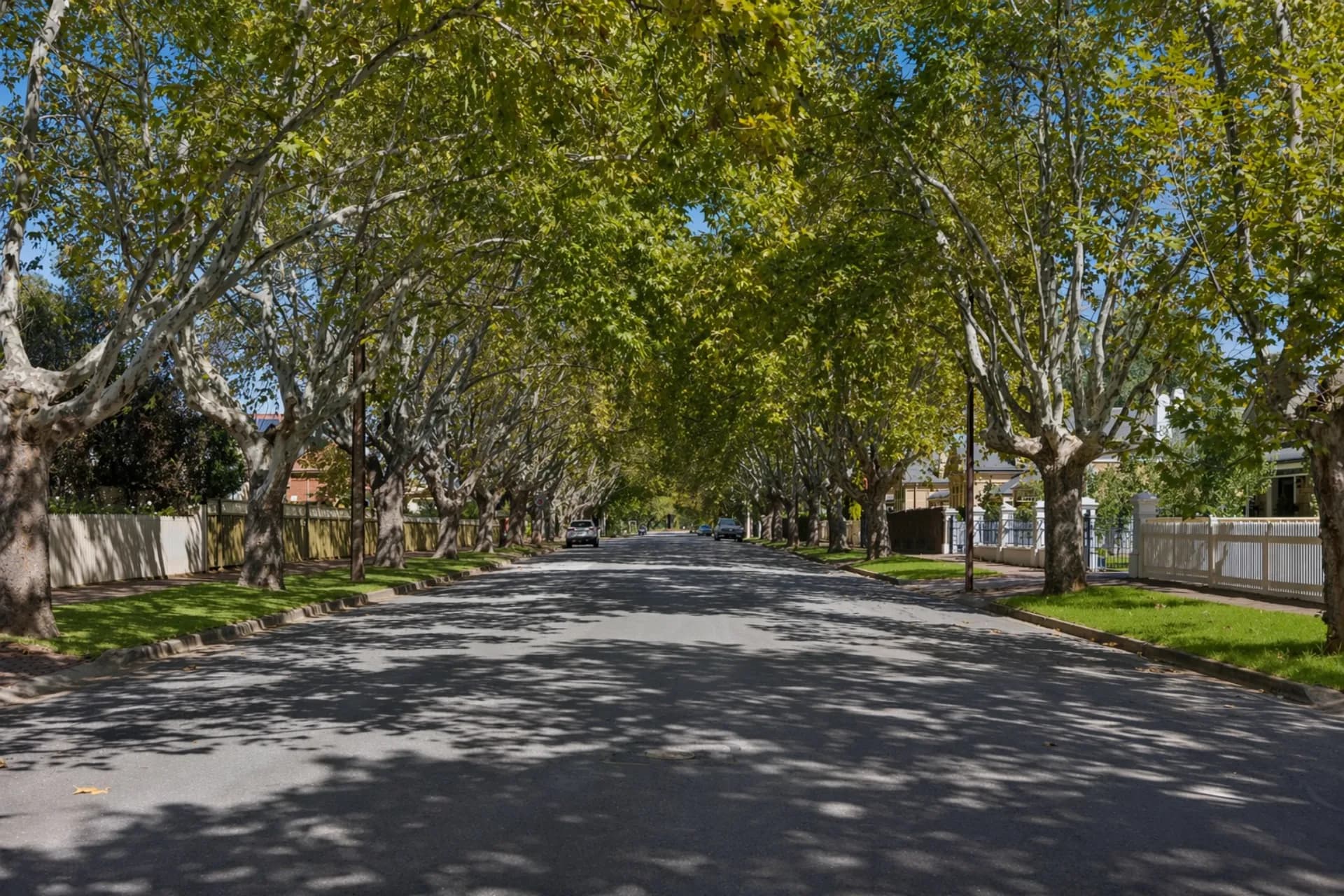 99 Second Avenue, Joslin, SA, Joslin - Thumbnail 3