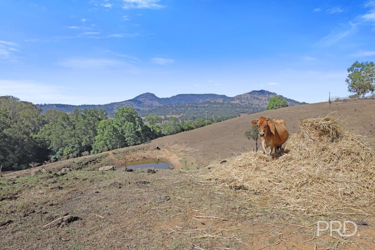 1/71 Wilson Row, MURRURUNDI NSW 2338, Murrurundi - Thumbnail 2