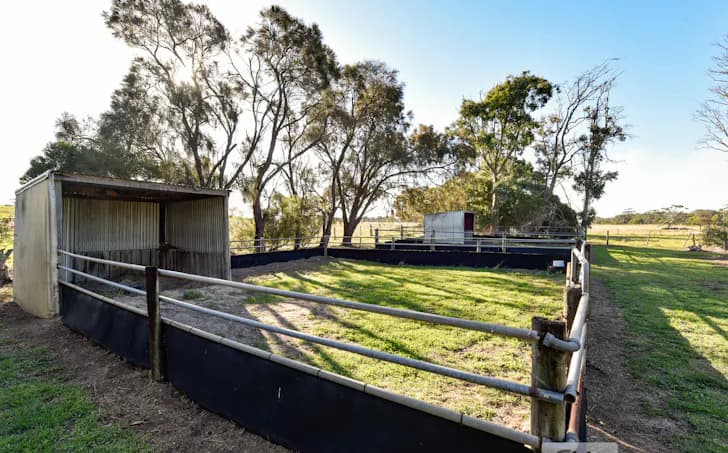 78 Banya South Road, Millicent, SA, 5280, Millicent - Thumbnail 4