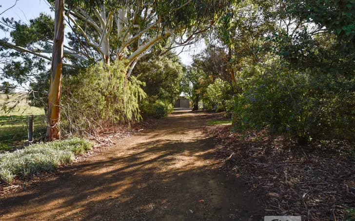 78 Banya South Road, Millicent, SA, 5280, Millicent - Thumbnail 8