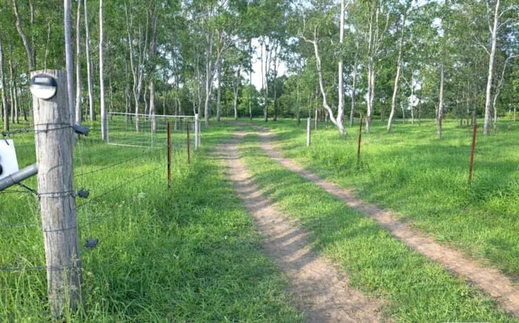 Spring Creek, QLD, 4343,  - Thumbnail 2