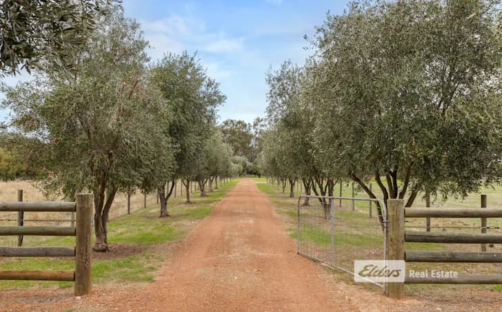 78 Yamballup Avenue, Harvey, WA, 6220, Harvey - Thumbnail 2