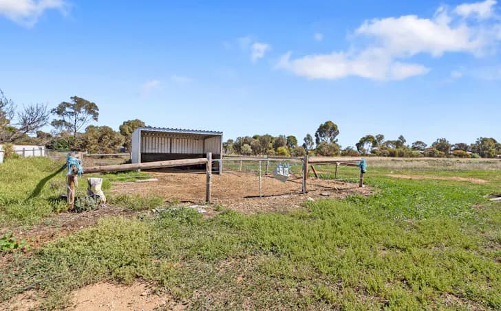 52 Dublin Road, Mallala, SA, 5502, Mallala - Thumbnail 3