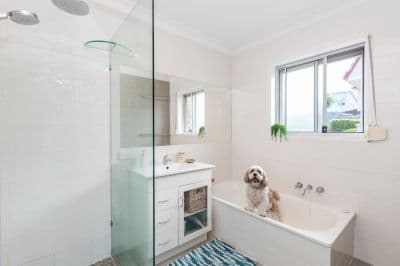 2/21 Jones Road, Carina Heights QLD 4152, Carina Heights - Thumbnail 8
