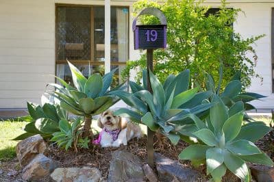 Loganholme, Loganholme - Image 1