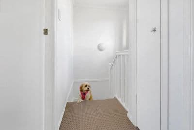 37/1160 Creek Road, Carina Heights QLD 4152, Carina Heights - Thumbnail 7