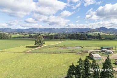 214 Mathinna Plains Road, RINGAROOMA, TAS 7263, Ringarooma - Image 1