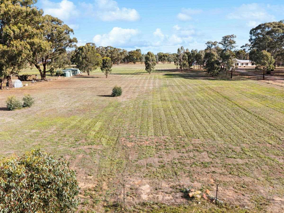 63 Williams Road, MYERS FLAT, Myers Flat - Thumbnail 4