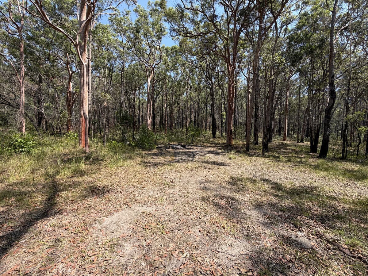 Lot 1210 + 1211 Station Way, North Arm Cove NSW 2324, North Arm Cove - Thumbnail 4