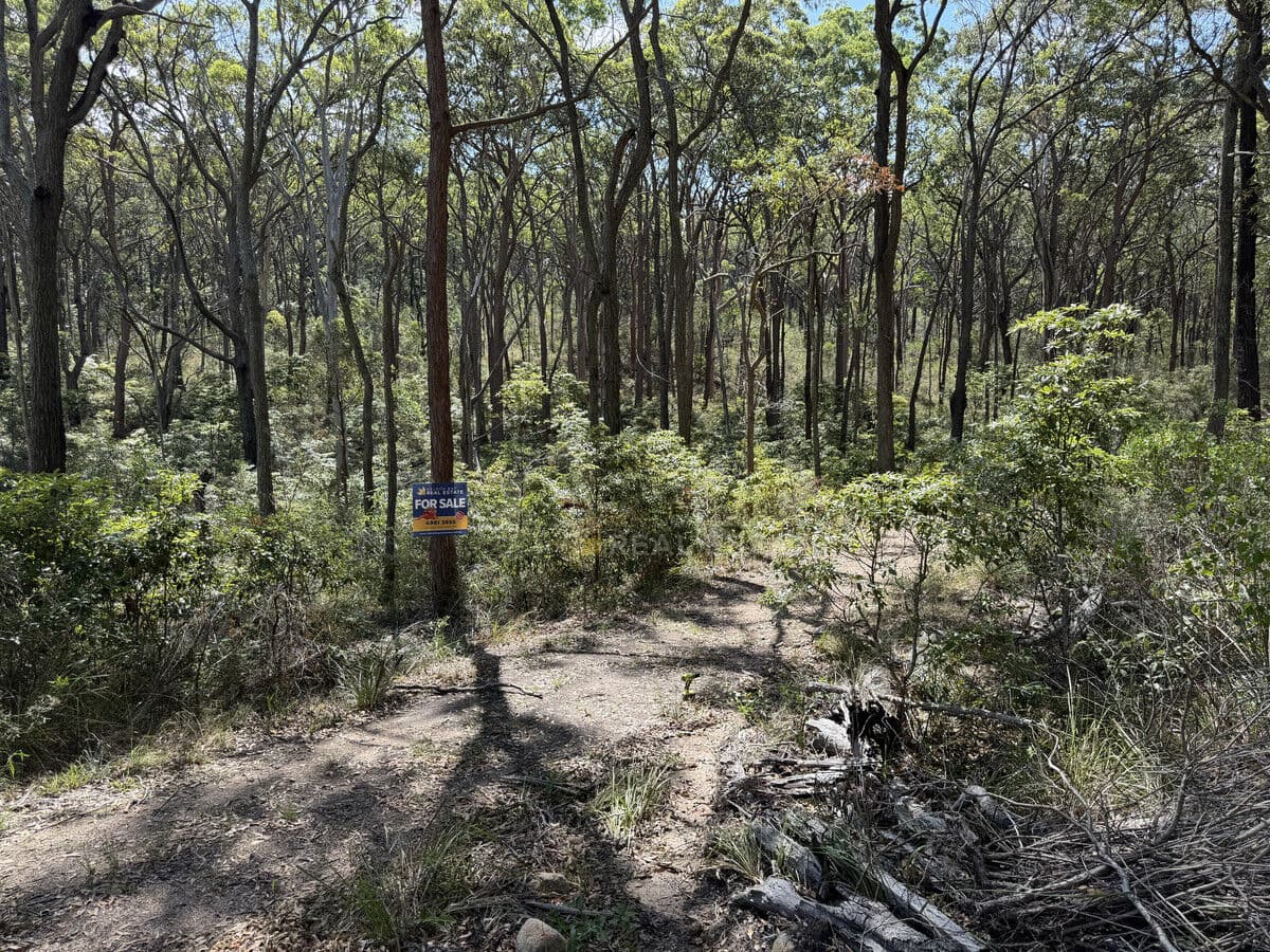 Lot 699 Point Circuit, North Arm Cove NSW 2324, North Arm Cove - Image 1