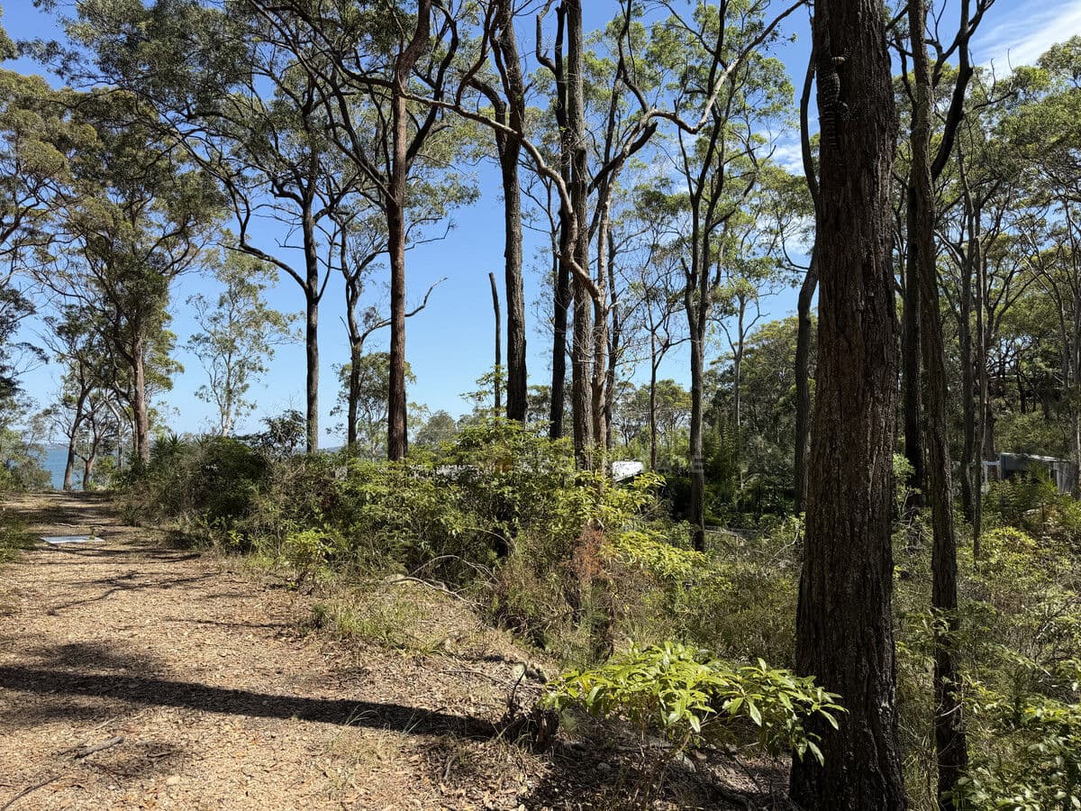 Lot 699 Point Circuit, North Arm Cove NSW 2324, North Arm Cove - Thumbnail 5