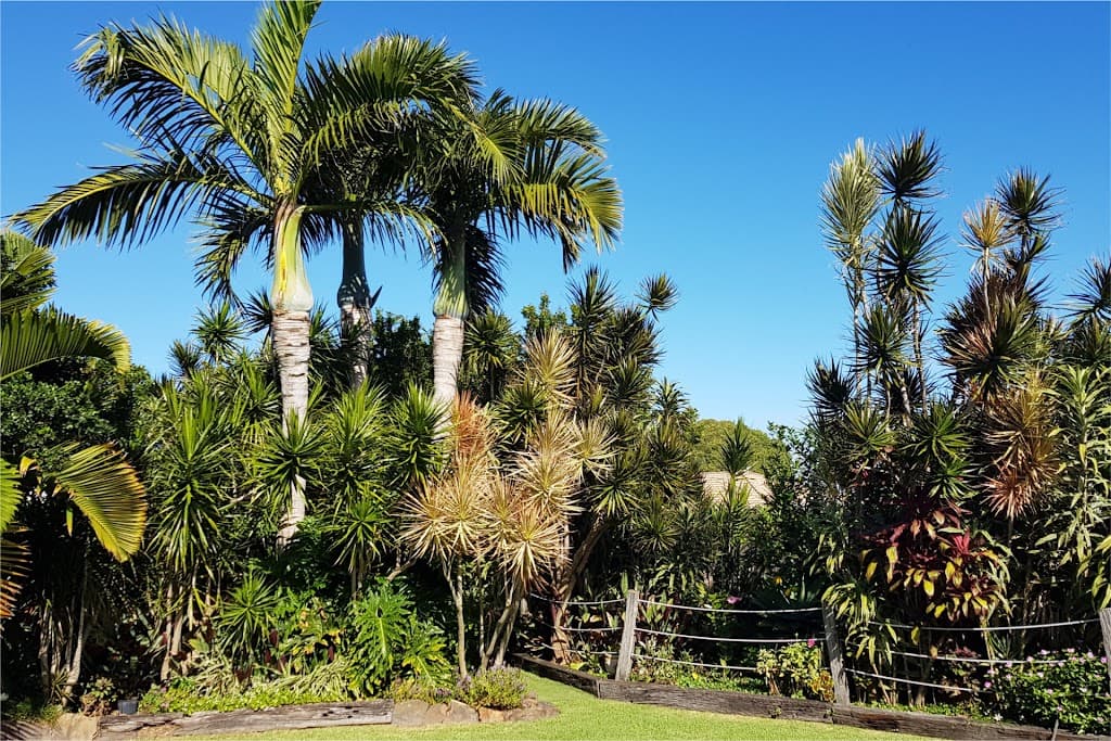 11 Sarah Court, Pottsville, NSW, 2489, Pottsville - Thumbnail 4