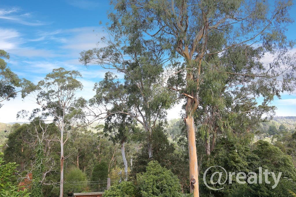 42 Martin Street, Belgrave, VIC, 3160, Belgrave - Thumbnail 6