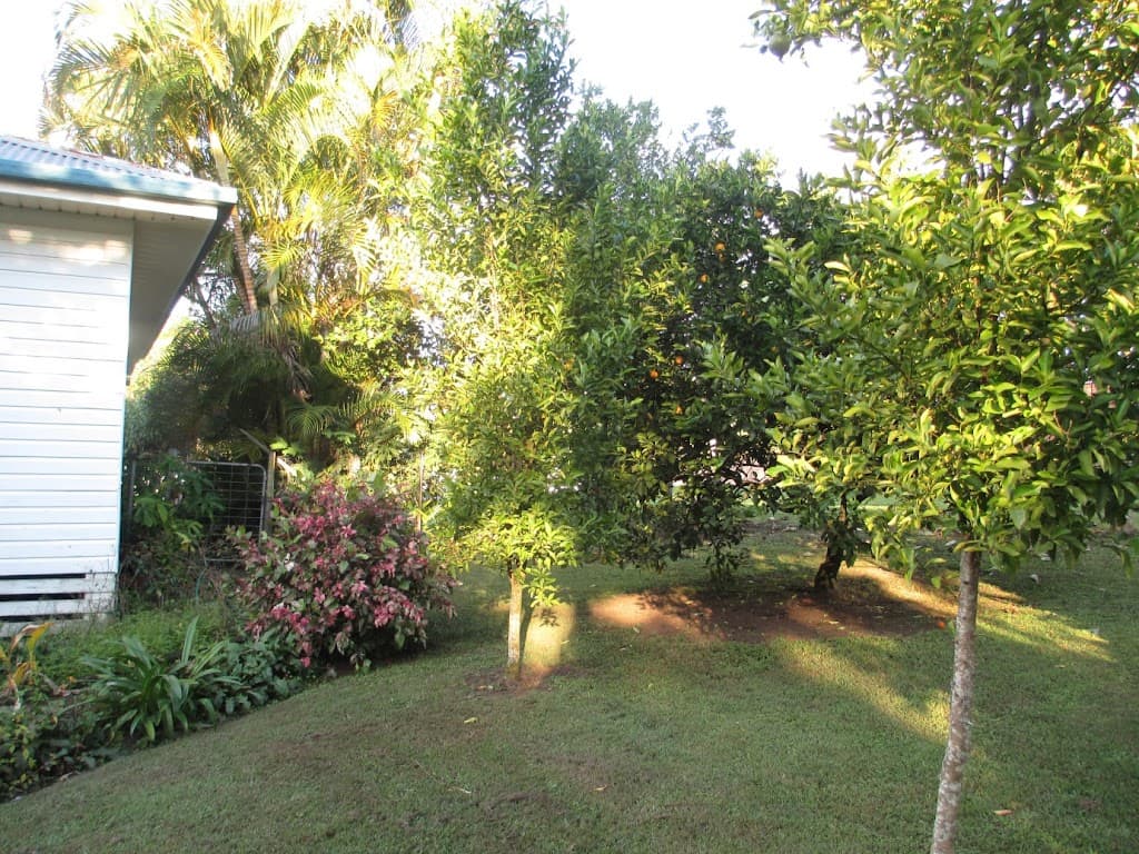 16 Thomas Street, Bray Park, NSW, 2484, Bray Park - Thumbnail 4