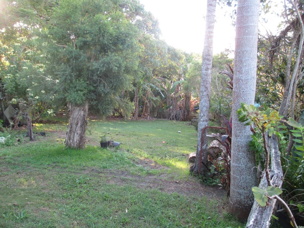 16 Thomas Street, Bray Park, NSW, 2484, Bray Park - Thumbnail 6