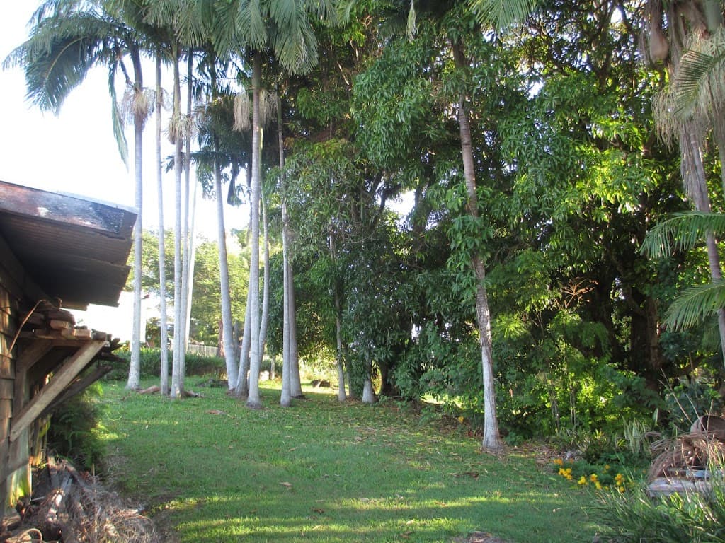 16 Thomas Street, Bray Park, NSW, 2484, Bray Park - Thumbnail 7