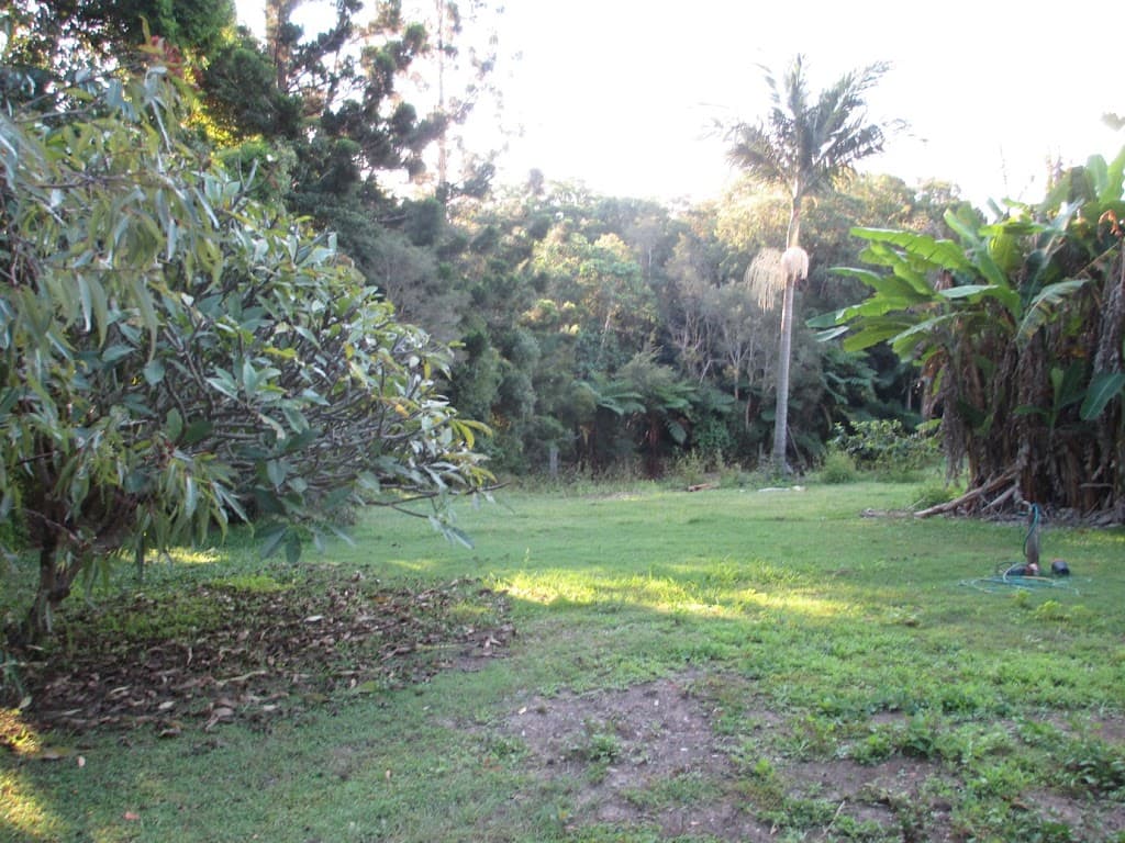 16 Thomas Street, Bray Park, NSW, 2484, Bray Park - Thumbnail 8