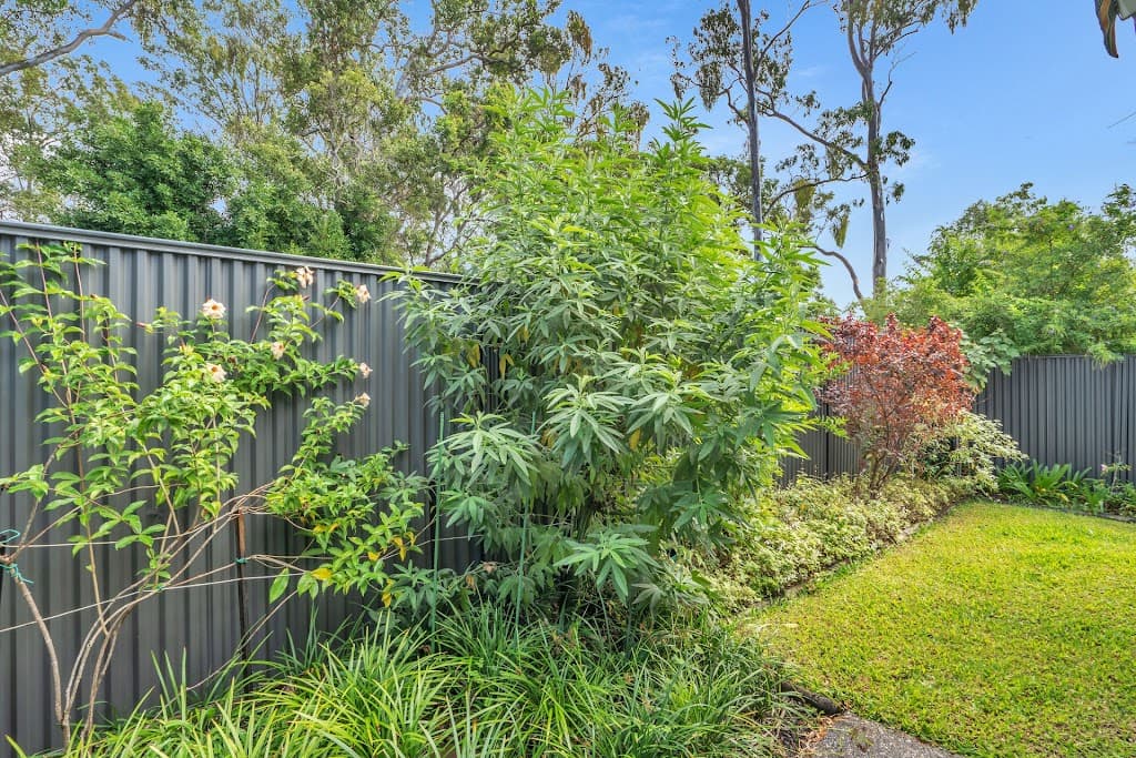 16a/64 Gilston Road, Nerang, QLD, 4211, Nerang - Thumbnail 6